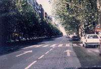 En un paso para peatones, est