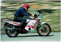 Cul es la disposicin ms ge