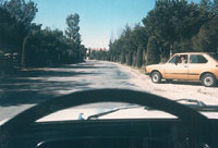 El conductor del vehculo que 