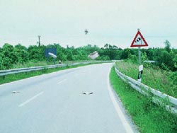 Cuando el ciento desva la tra