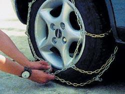 Por qu elemento podemos sust