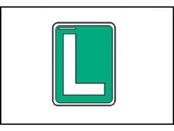 Si usted tiene otro permiso (e