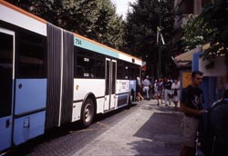 Si usted desea dedicarse al tr